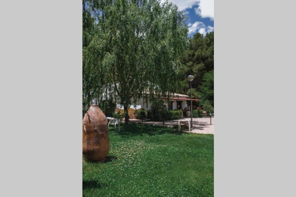 Casa Cueva Piena, Alcudia De Guadix Villa Exteriör bild